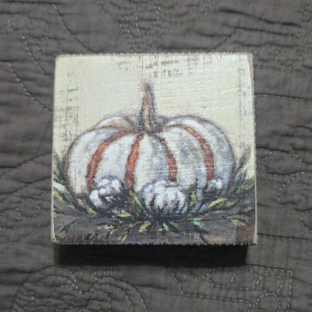 Pumpkin with cotton  NEW